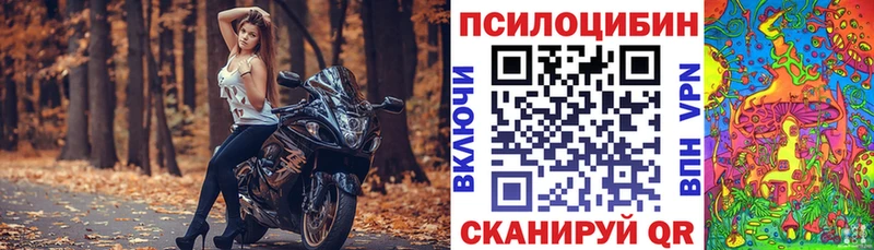 Купить закладки  Юрьевец  Псилоцибиновые грибы мухоморы 